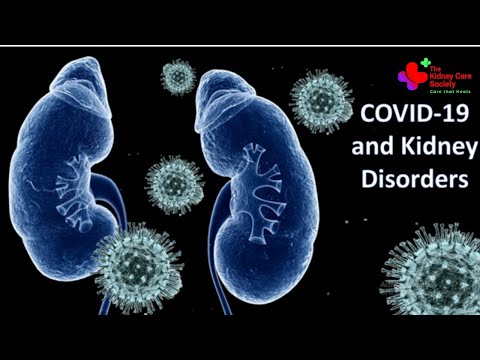 COVID-19 and Kidney | How COVID-19 can harm your kidneys