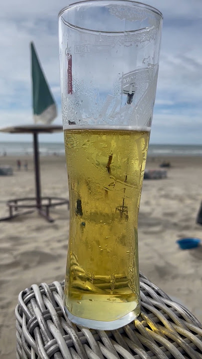 Unwind and Indulge: Enjoying Zandvoort Beach with a Refreshing Beer