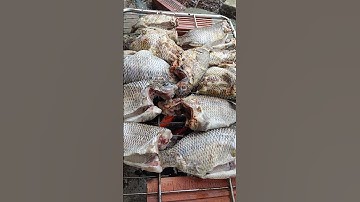 Cá rô phi nướng chấm muối ớt chanh đậm đà 🐟🌶️ #cooking #food #recipe #muckbang