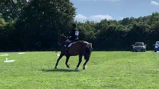 DressageVideo Tumpy Green ODE