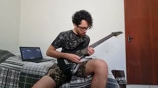 Pearl Jam - Animal Guitar Cover