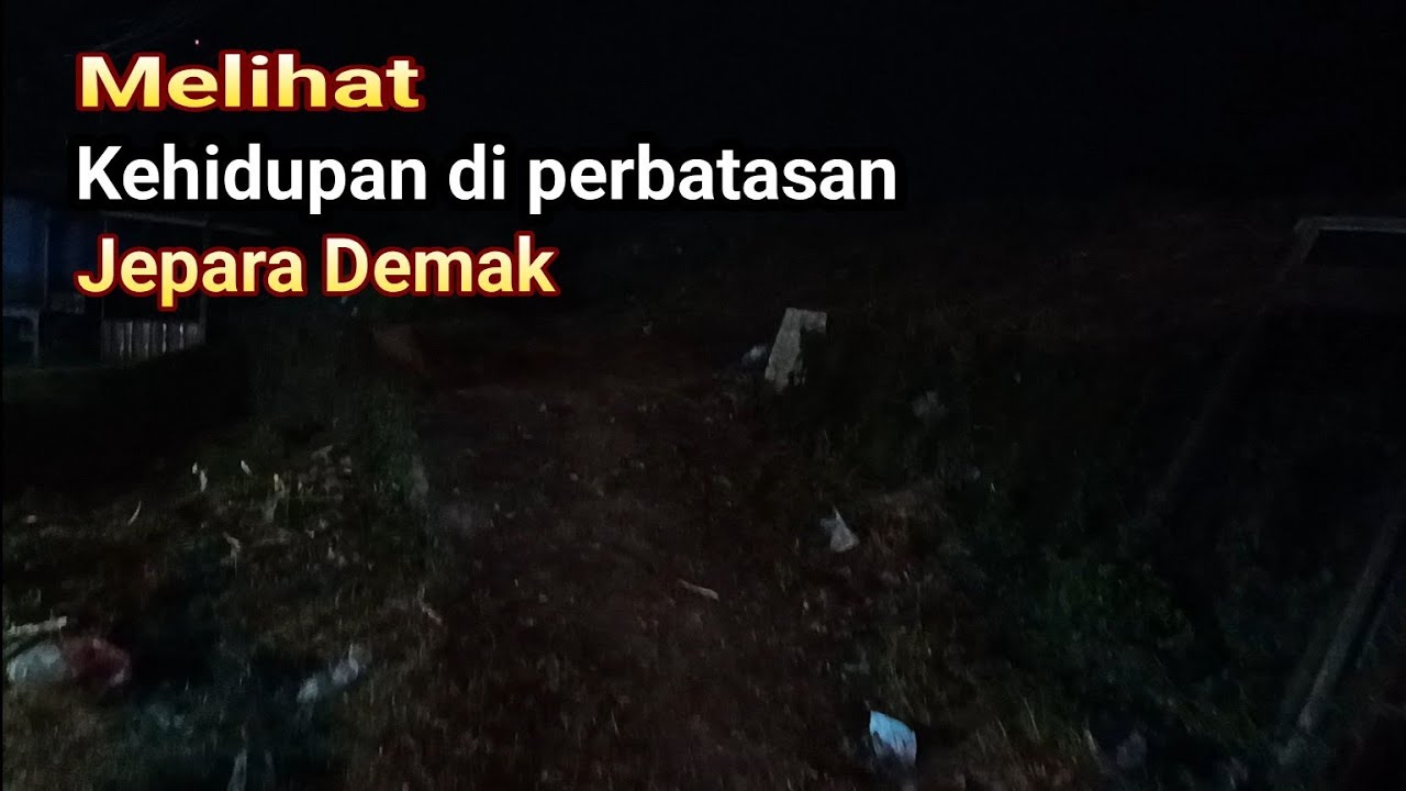Kehidupan malam hari di perbatasan Jepara Demak 