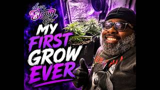 Dear Stony Gro| Ep.1 My First Grow Ever