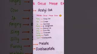#shorts learn Krebs cycle with trick