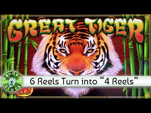Great Tiger slot machine bonus