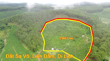 DilinhBDS - Đất Sa Võ, đất Di Linh, đất Liên Đầm, 29681mv đất nông nghiệp view rừng thông, đồi núi