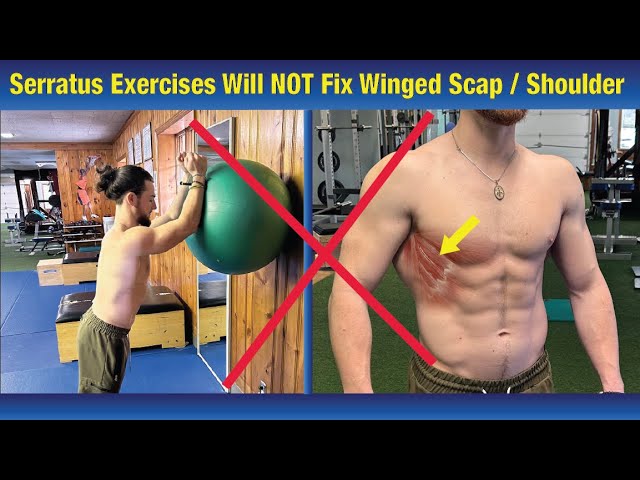 Serratus Anterior Wall Slide by Uncle Heiko S - Exercise How-to - Skimble