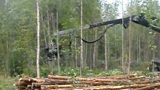 sommer 2010 116.AVI