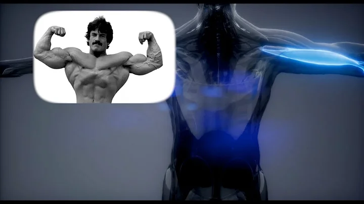 MIKE MENTZER: REALISTIC EXPECTATIONS
