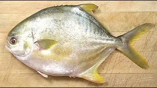 மீன் குழம்பு (Meen Kulambu) | Pompano Fish Curry | #fishgravycurry #tamilrecipes #southindianfood