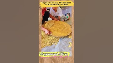 Soybean Sorting The Wisdom of Hardworking People  #EngineeredEffort