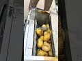 Cleaning and Peeling Potatoes in One Step, Efficient and Worry-free Potato Processing Helper,#土豆清洗机