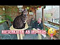 Tierheim - Spende mit Update und Vorschauzeug. 😁😸🤓