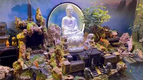 Hồ cá bán cạn tiểu cảnh độc đáo by Kelsey Nguyen Mặt Trời Vàng