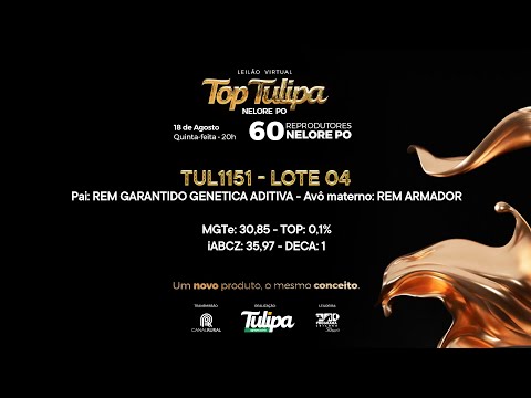 lote 04   TUL 1151