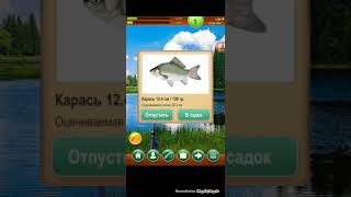 рыбак на берегу. симулятор рыбалки. реальная рыбалка сом. Professional fishing игра на андроид. рыбный дождь игра.