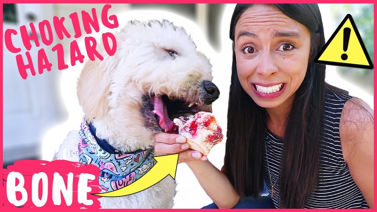 feeding bones to puppies