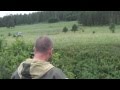 Погоня за черными лесорубами / The pursuit of black loggers