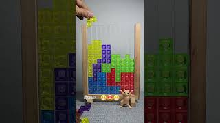 ASMR Playing Tetris Block Puzzle, Full Color #tetris #puzzle #puzzlegame #satisfying #shorts