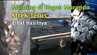 Mancing Ikan Kapi2 Dan Baronang Di Bagan Marunda