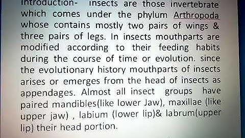 Mouthparts of Insect (Mr. Amit Kumar Dewaliya)