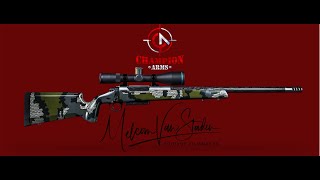 Long range hunting rifles - Champion Arms Texas