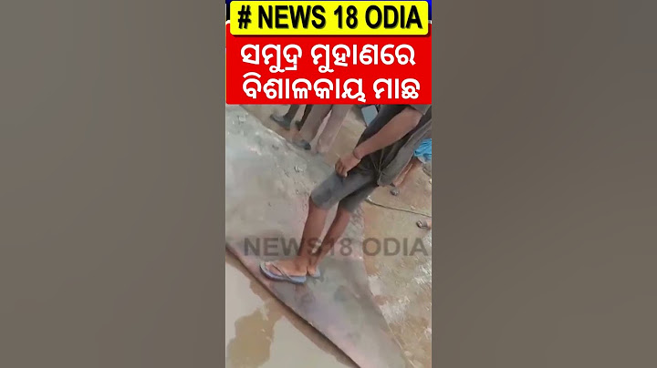 ବିଶାଳକାୟ ମାଛ, ଦେଖିବାକୁ ପ୍ରବଳ ଭିଡ଼ | Catching Mysterious Fish At Digha | Giant Fish | Odia News