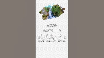 سورة المسد بصوت سعد الغامدي | Surah Al-Masad by Saad Al-Ghamidi