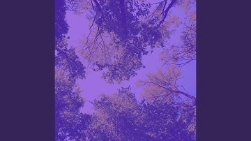 Relaxing Music for Devoted Inspiration