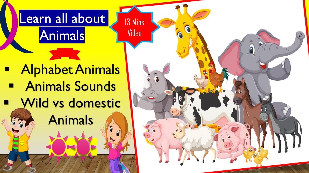 Complete video Learn All About Animals/Animals Alphabets/Animals Sounds ...