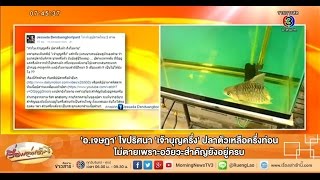 เรื่องเล่าเช้านี้ 'อ.เจษฎา' ไขปริศนา 'เจ้าบุญครึ่ง' ปลาครึ่งท่อน ไม่ตายเพราะอวัยวะสำคัญยังอยู่ครบ