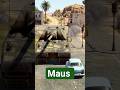Why the Maus Tank Was Too Heavy to Matter
