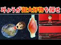 【トモコレ検証部】みょうがが大好物のMiiはいるのか?
