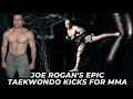 Joe rogans taekwondo kicks in mma fights
