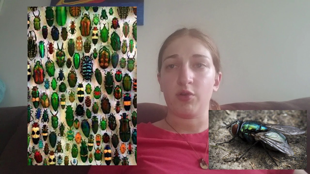 The (Disturbing) Basics of Taphonomy