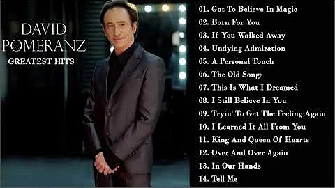 David Pomeranz  Greatest Hits Collections All Time - David Pomeranz Hits Songs