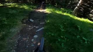 Biker Crashes Straight Into A Tree During A Mountain Bike Race