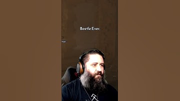 How To Handle Beetles in Hunt: Showdown #huntshowdown #crytek  #gaming #beardgame #twitch