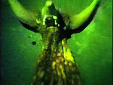 catapulta - poera
