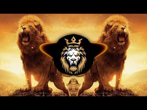 Дикая Львица DJ Mexx DJ Karimov Radio Remix