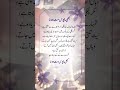 Kabhi Mayoos Mat Hona Poetry Islamipoetry Allah Love Islamicsayings Motivation Shorts 