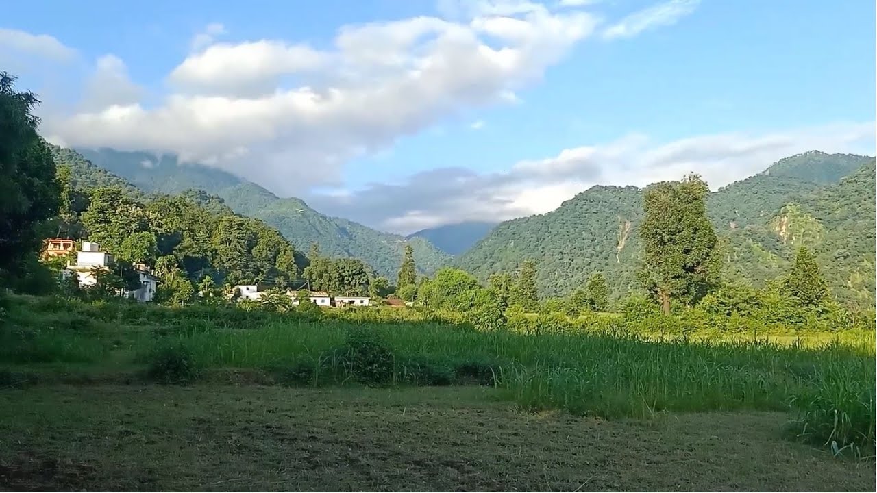 20-nali-6-5-bigha-syaat-kotabagh-190-ft-front-completely-plain