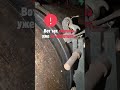 ⚠️Пыль, износ, стружка = плохой контакт — SGS НЕ работает! #shaftgrounding #электромеханик #вал