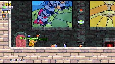 Rouge Legacy new game+ boss fight