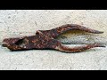 Restoration Rusty Farming Beetroot Tool