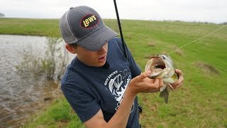 Tips For Pond Squarebill Fishing