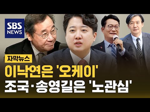 이준석 &quot;이낙연 싫어할 이유 없다&quot;…연대 가능성? (자막뉴스) / SBS