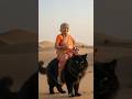 Pig pomegranate tree prevents drying #ai #save #pig #shorts