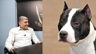 Miroljub Petrović - O Rasi Pasa Američki Staford