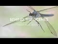 Ghislain simard dragonfly and h6d100c 4k